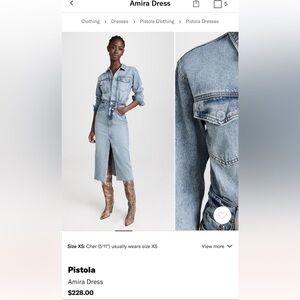 Pistola Amira Dress in Marcel